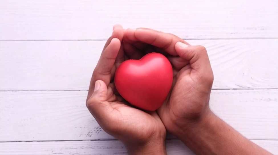 imagem da notícia: Como tornar-se um doador de medula óssea? Confira